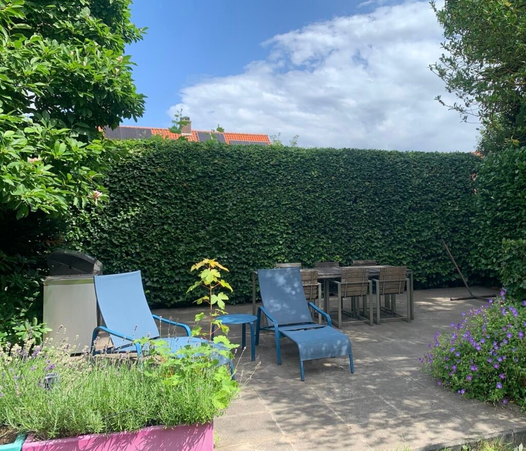 Jooop tuin & huis tuinonderhoud - heg - tuin