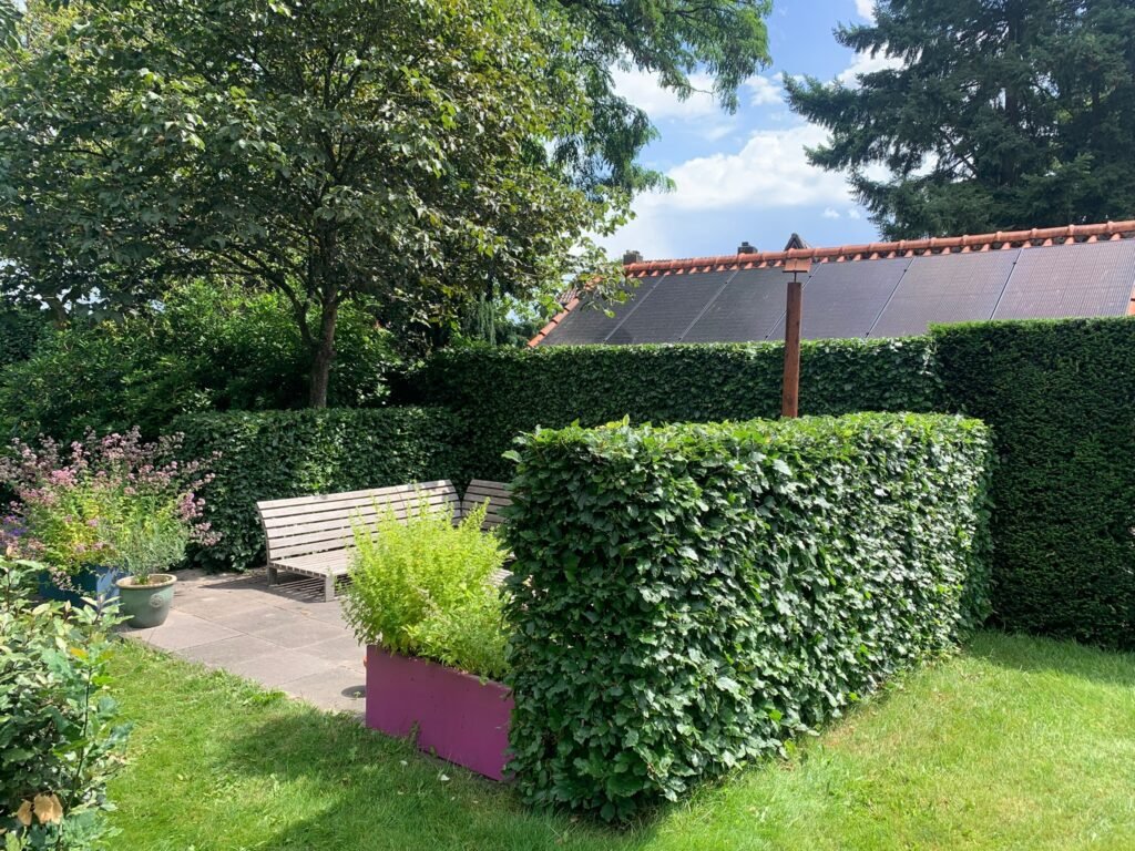 Jooop tuin & huis heg - snoeien - tuin - tuinonderhoud
